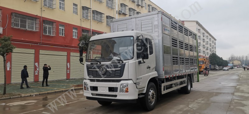 東風(fēng)天錦6.8米畜禽運輸車（運豬車）